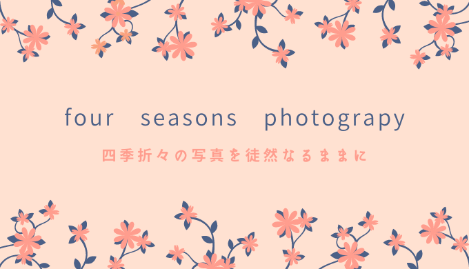 four seasons photograpy